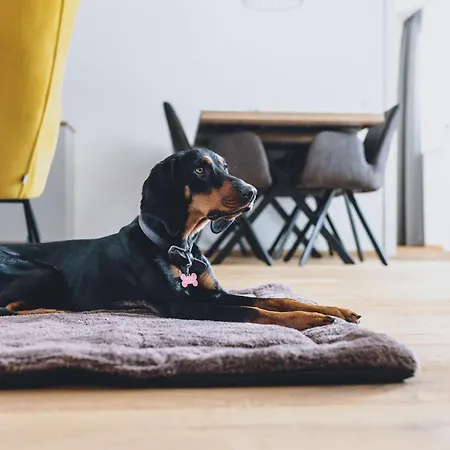 Chalet Aurora Mountain By We Rent