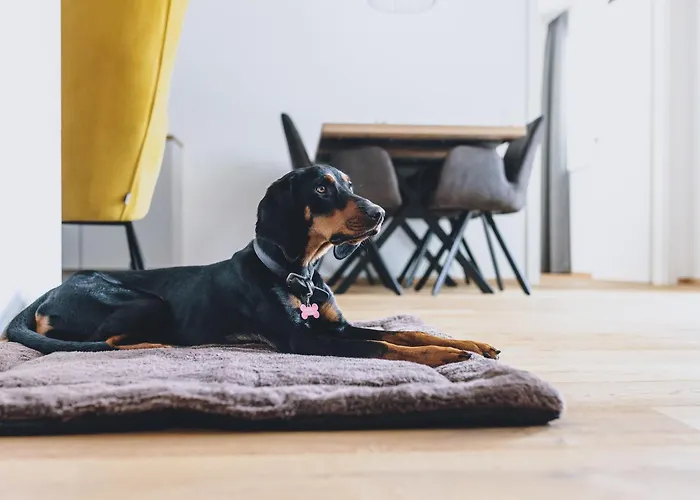 בקתה Aurora Mountain By We Rent, Summercard Included